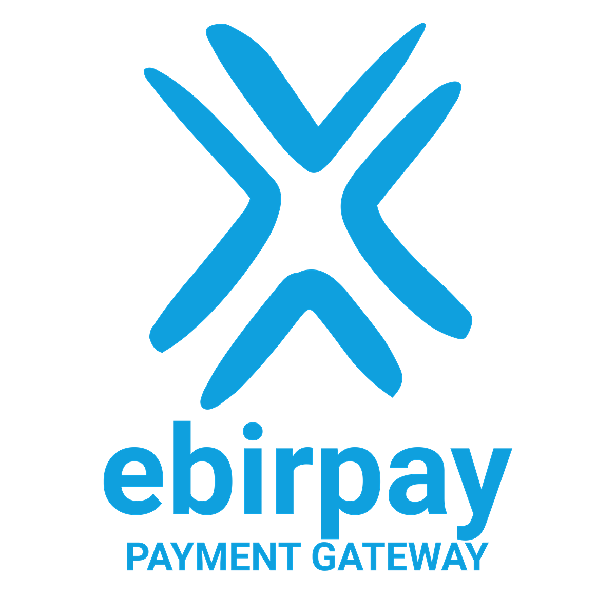 eBirpay - Secure Digital Payment Gateway for Seamless Transactions