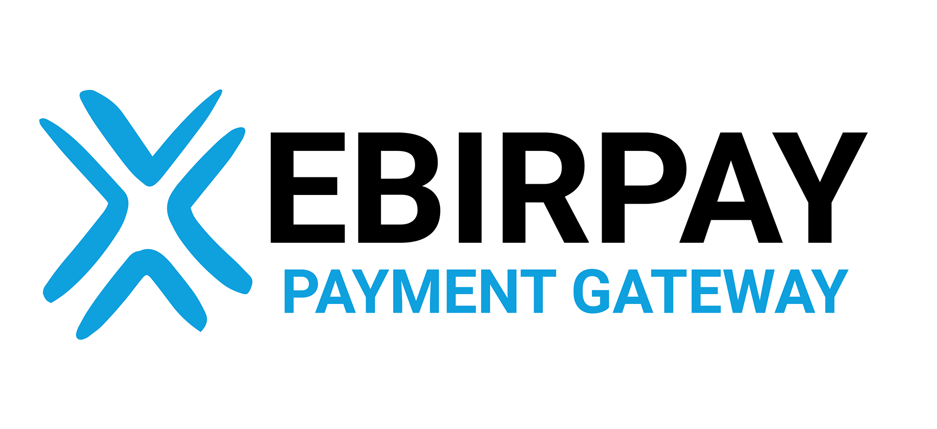 eBirpay - Secure Digital Payment Gateway for Seamless Transactions
